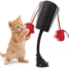 Load image into Gallery viewer, Cat Punching Bag with Boxing Gloves