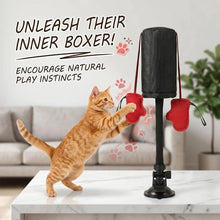 Load image into Gallery viewer, Cat Punching Bag with Boxing Gloves